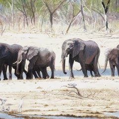 Elephants on the March