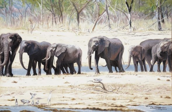 Elephants on the March