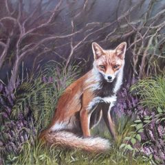 Fox in the Heather
