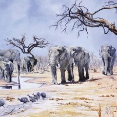 Make Way for the Elephants